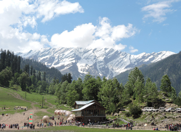 Manali Group Tour 